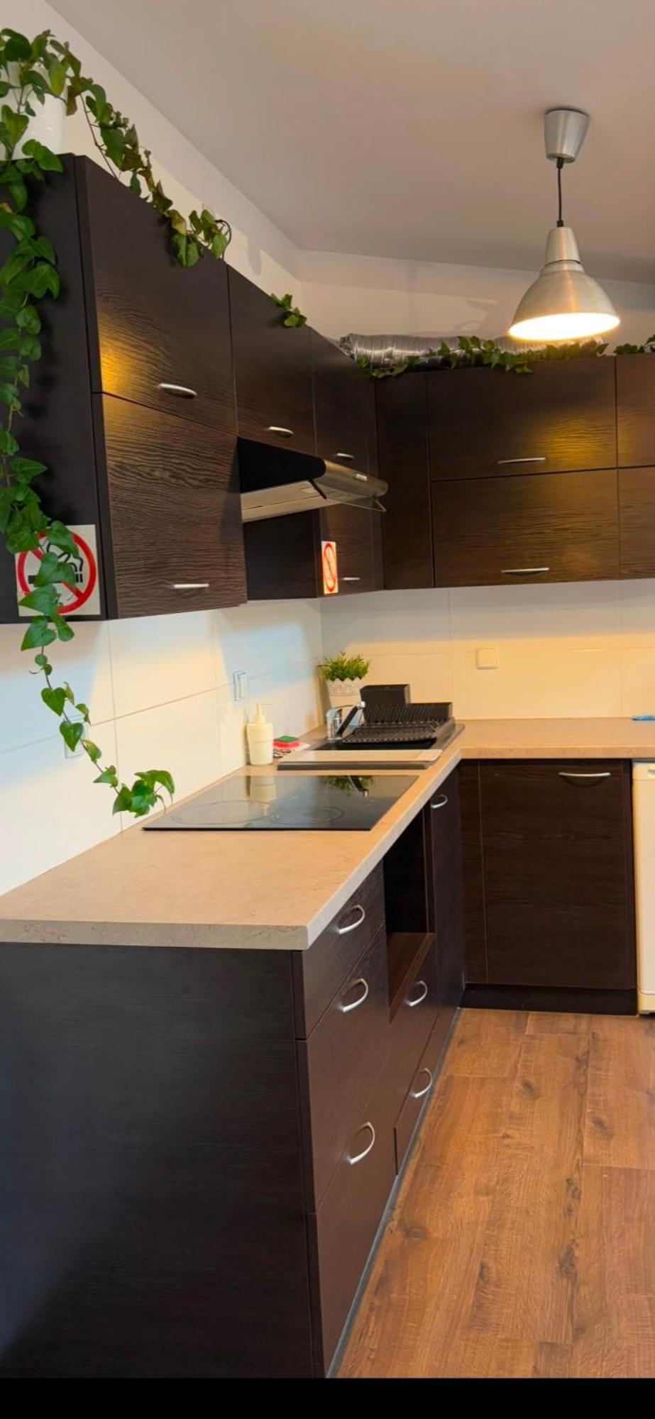 Apartament Szafir 4B Rzeszów Kültér fotó